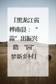 黑龙江省桦南县：“蒜”出振兴路 “园”梦新乡村
