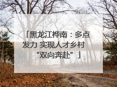 黑龙江桦南：多点发力 实现人才乡村“双向奔赴”