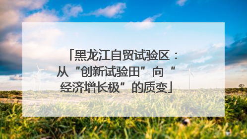 黑龙江自贸试验区：从“创新试验田”向“经济增长极”的质变