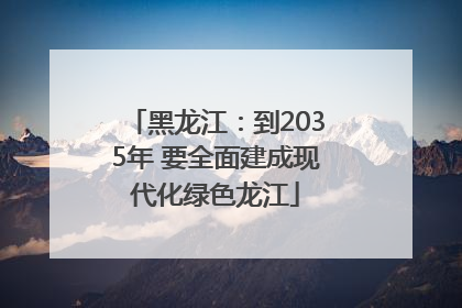 黑龙江：到2035年 要全面建成现代化绿色龙江