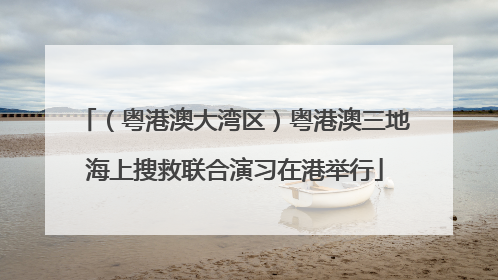 （粤港澳大湾区）粤港澳三地海上搜救联合演习在港举行