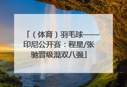 （体育）羽毛球——印尼公开赛：程星/张驰晋级混双八强