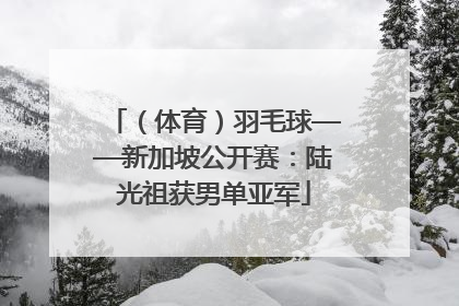 （体育）羽毛球——新加坡公开赛：陆光祖获男单亚军