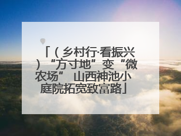 （乡村行·看振兴）“方寸地”变“微农场” 山西神池小庭院拓宽致富路