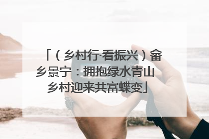 （乡村行·看振兴）畲乡景宁：拥抱绿水青山 乡村迎来共富蝶变