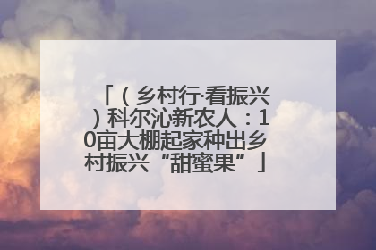 （乡村行·看振兴）科尔沁新农人：10亩大棚起家种出乡村振兴“甜蜜果”