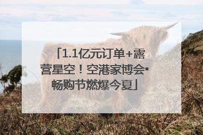 1.1亿元订单+露营星空！空港家博会▪畅购节燃爆今夏