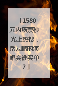 1580元内场票秒光上热搜，岳云鹏的演唱会谁买单？