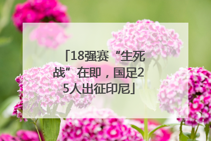 18强赛“生死战”在即，国足25人出征印尼