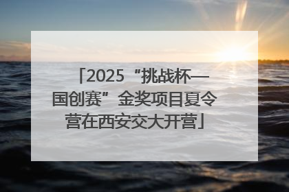 2025“挑战杯—国创赛”金奖项目夏令营在西安交大开营
