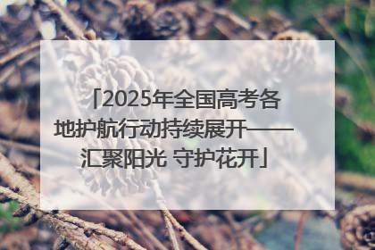 2025年全国高考各地护航行动持续展开——汇聚阳光 守护花开