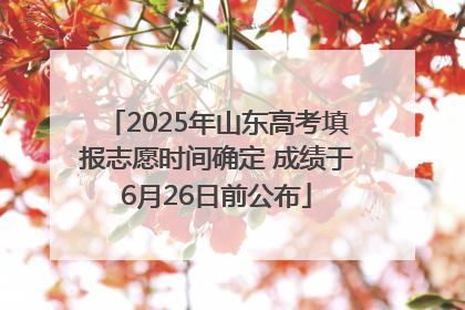 2025年山东高考填报志愿时间确定 成绩于6月26日前公布
