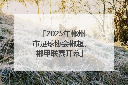 2025年郴州市足球协会郴超、郴甲联赛开幕