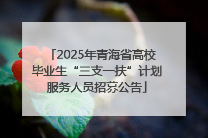 2025年青海省高校毕业生“三支一扶”计划服务人员招募公告
