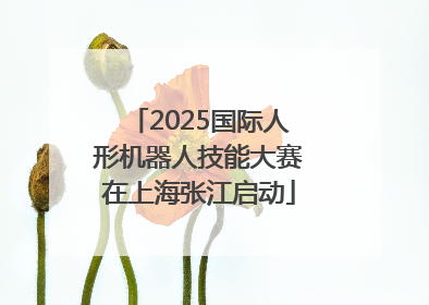 2025国际人形机器人技能大赛在上海张江启动