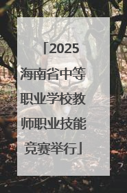 2025海南省中等职业学校教师职业技能竞赛举行