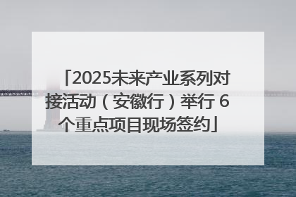 2025未来产业系列对接活动（安徽行）举行 6个重点项目现场签约