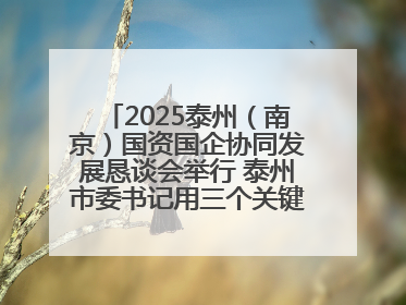 2025泰州（南京）国资国企协同发展恳谈会举行 泰州市委书记用三个关键词推介泰州