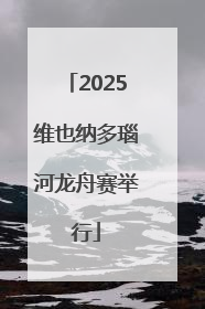 2025维也纳多瑙河龙舟赛举行