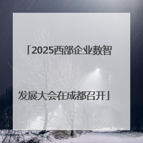 2025西部企业数智发展大会在成都召开
