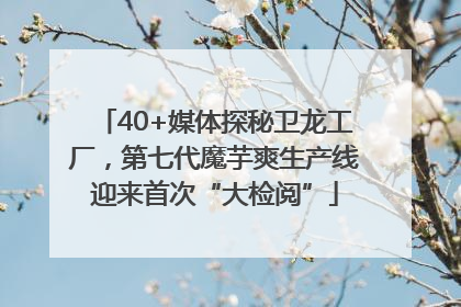40+媒体探秘卫龙工厂，第七代魔芋爽生产线迎来首次“大检阅”