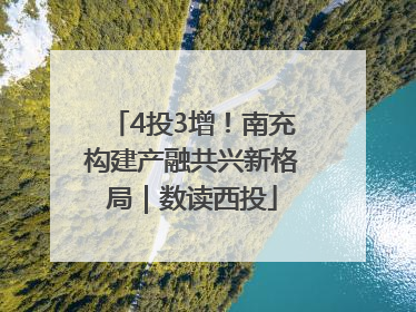 4投3增！南充构建产融共兴新格局｜数读西投