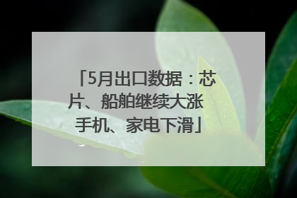 5月出口数据：芯片、船舶继续大涨 手机、家电下滑
