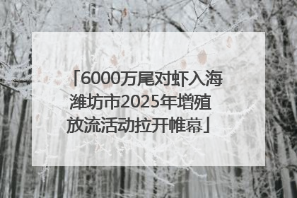 6000万尾对虾入海 潍坊市2025年增殖放流活动拉开帷幕