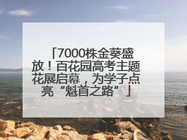 7000株金葵盛放！百花园高考主题花展启幕，为学子点亮“魁首之路”