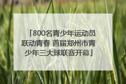 800名青少年运动员跃动青春 首届郑州市青少年三大球联赛开幕