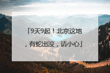 9天9起！北京这地，有蛇出没，请小心