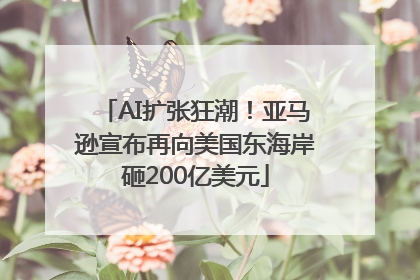 AI扩张狂潮！亚马逊宣布再向美国东海岸砸200亿美元